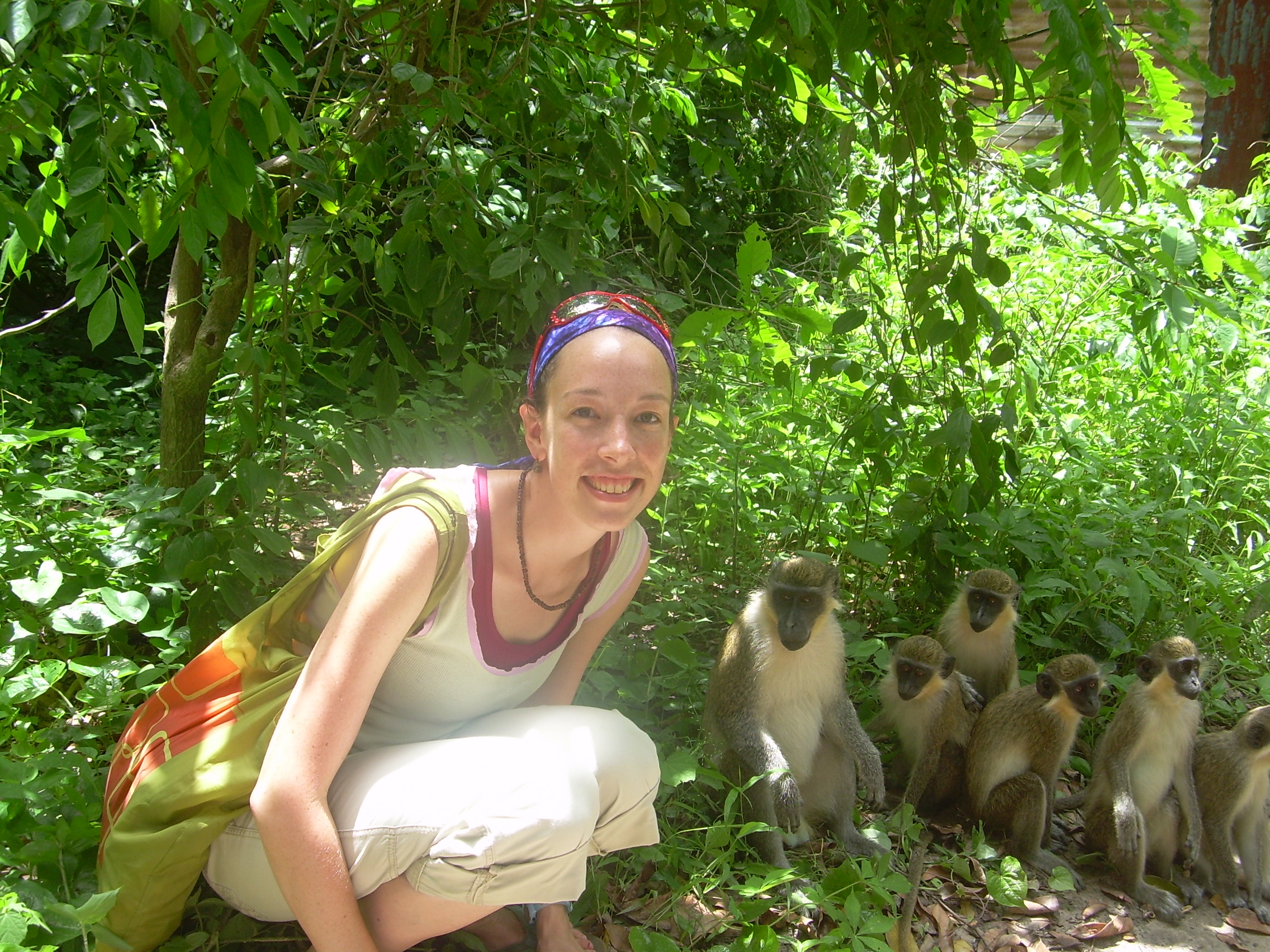 Monkeys and a volunteer nurse in West Africa